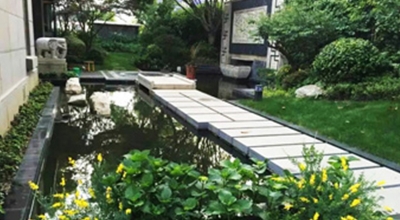 上海棕櫚泉花園設計