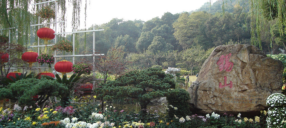 2010年第八屆中國（上海）杜鵑花展（金獎）